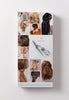 Front cover of Flexi Clip brochure highlighting various products, hair styles and functionality.